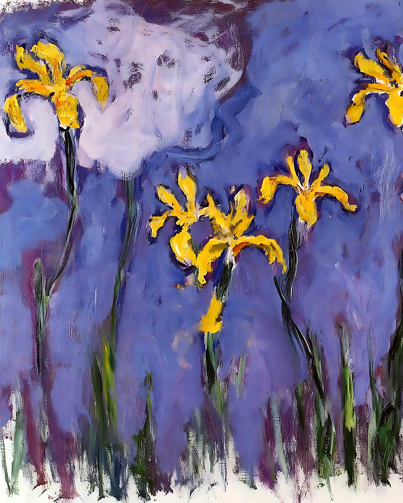 Yellow Irises with Pink Cloud Painting by Claude Monet 8x10" Art Print