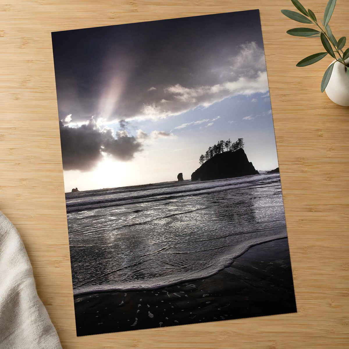 Beach in Olympic National Park by Joshua Earle Photo Print Wall Decor