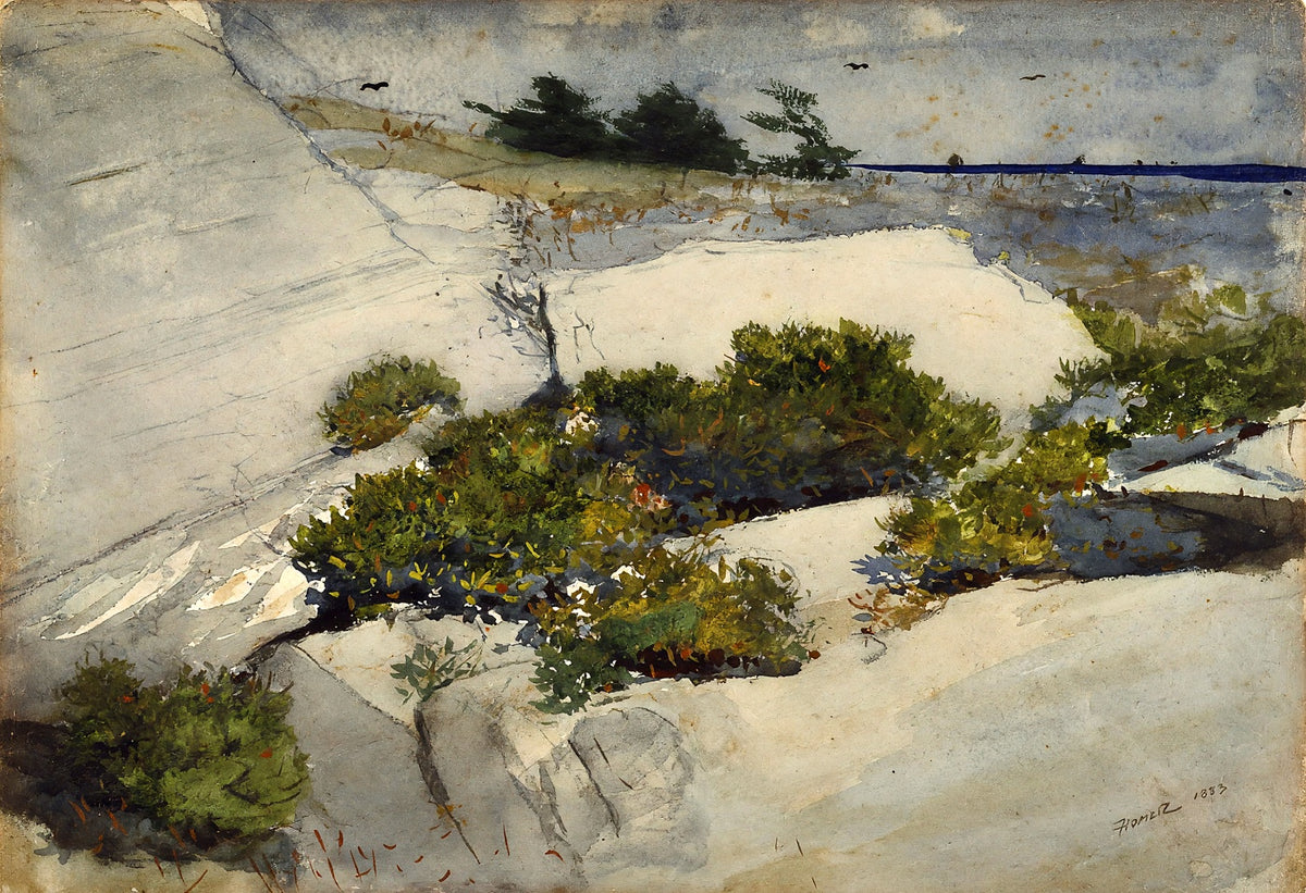 Maine Cliffs fine art print by Winslow Homer (1883)