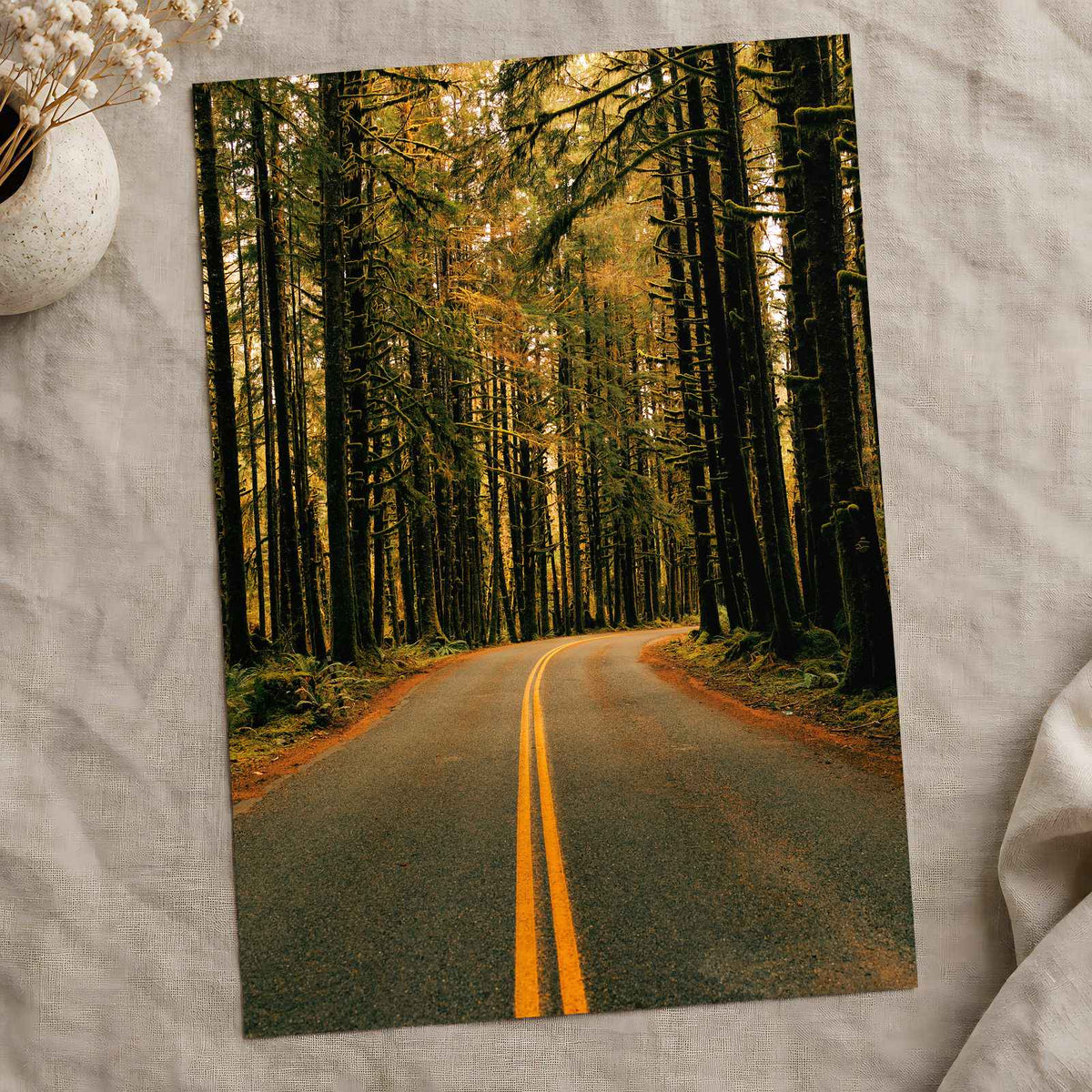 Hoh Rainforest Road, Olympic National Park by Hans Photo Print Wall Decor