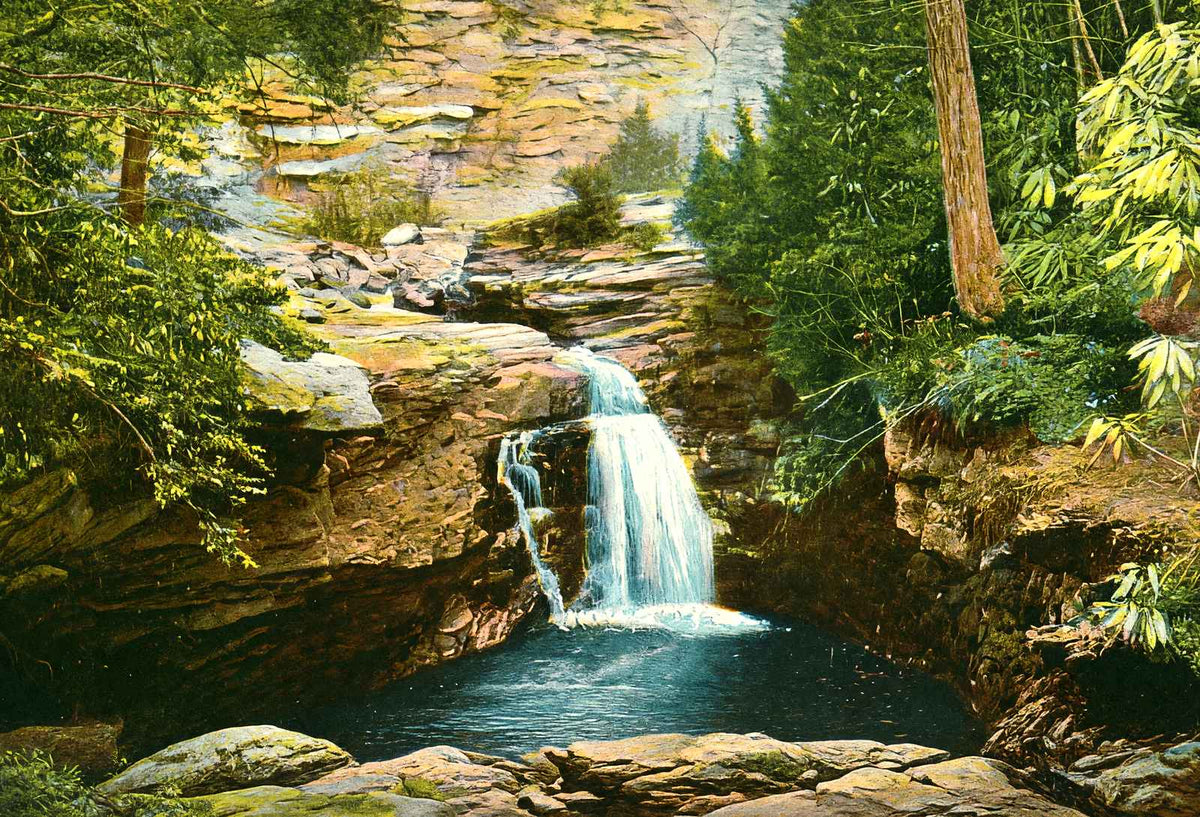 Falls at Nay Aug Park, Scranton, PA in 1907 vintage print