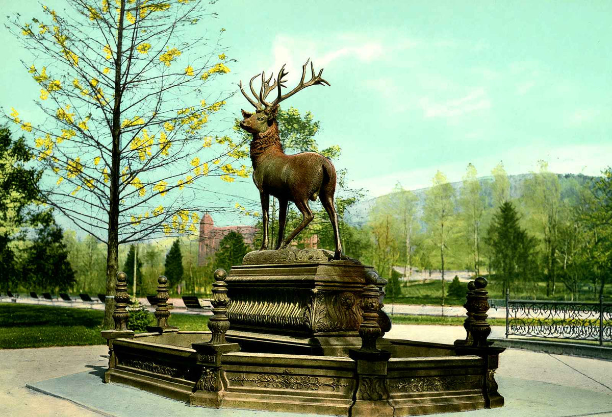 Fountain City Reservoir, Reading PA in 1907 vintage print