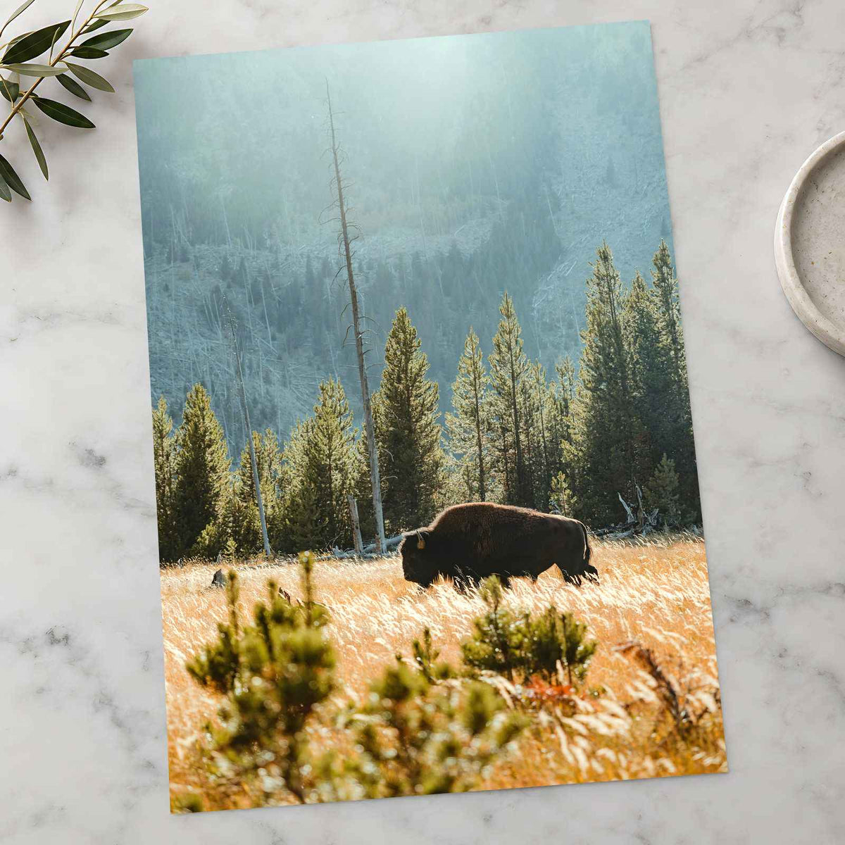 Buffalo Bison in Yellowstone, Wyoming by Joe Eitzen Photo Print Wall Decor