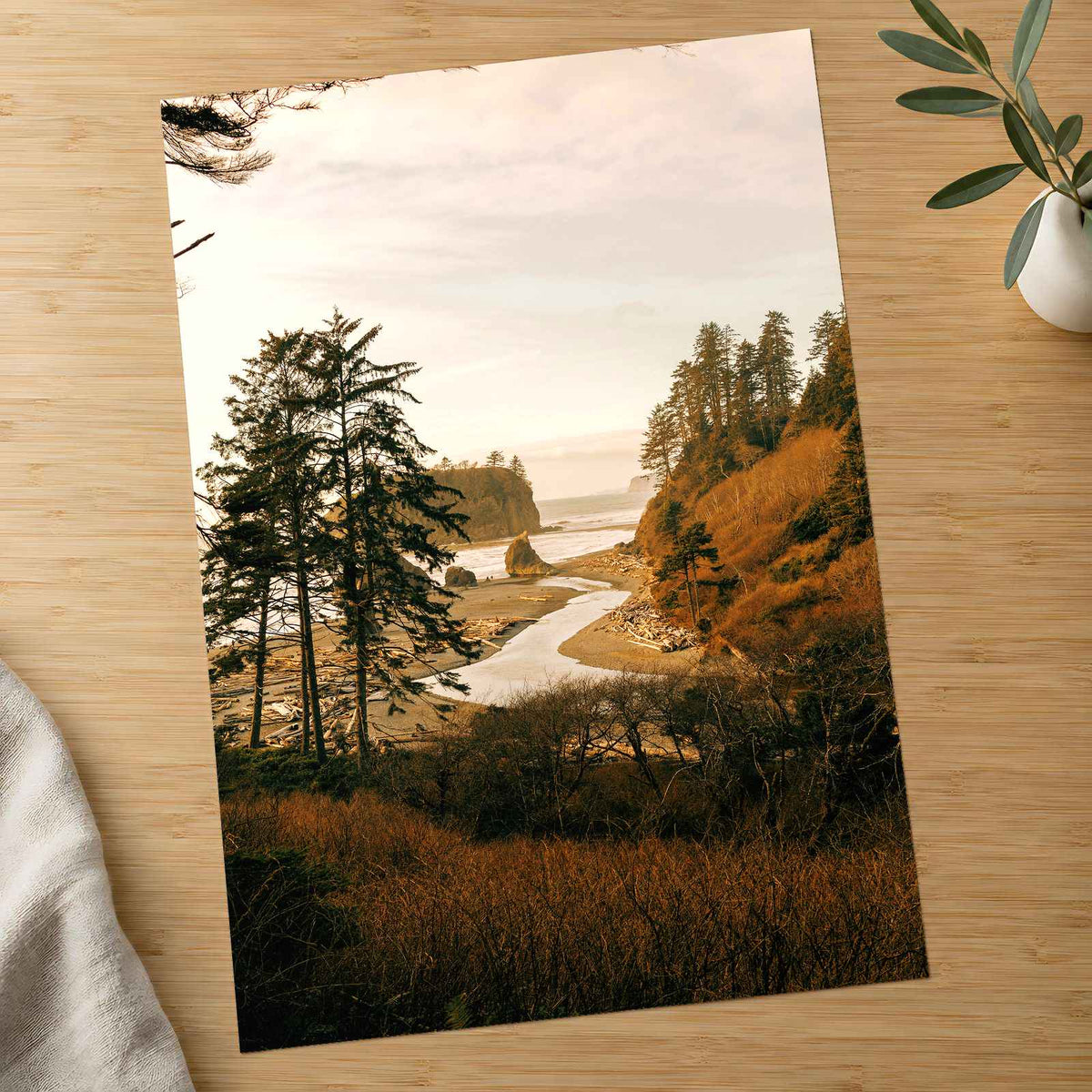 Ruby Beach in Forks, Washington by Hans Photo Print Wall Decor
