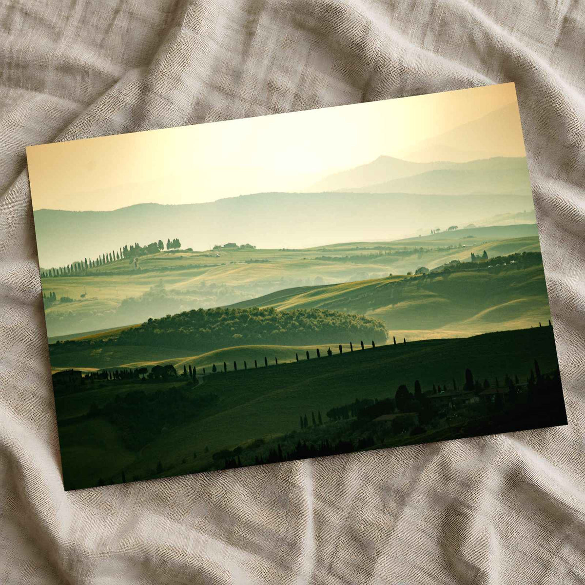 Vineyards in Tuscany, Italy by Sylwia Bartyzel Photo Print Wall Decor