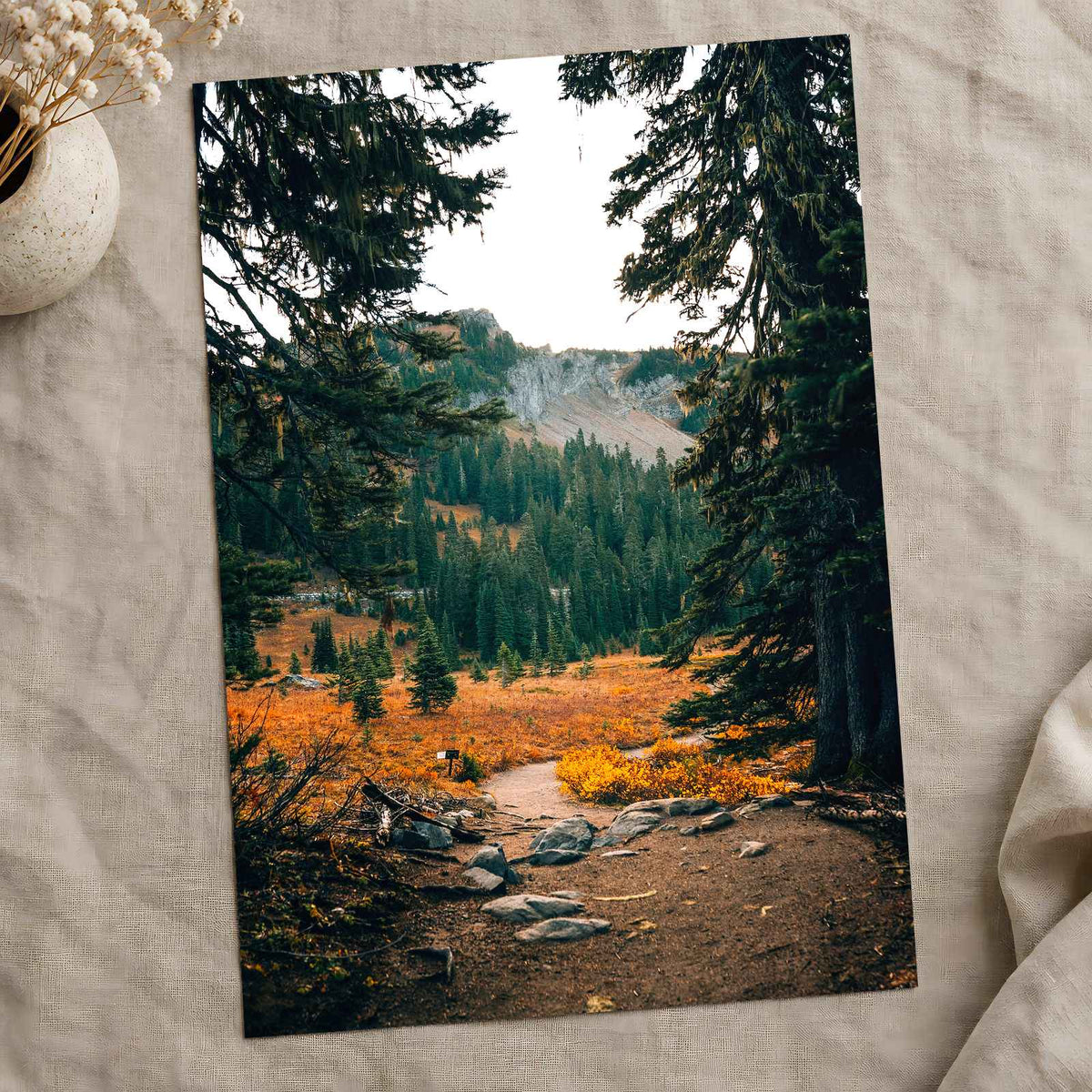 Mount Rainier National Park in Washington by Josh Hild Photo Print Wall Decor