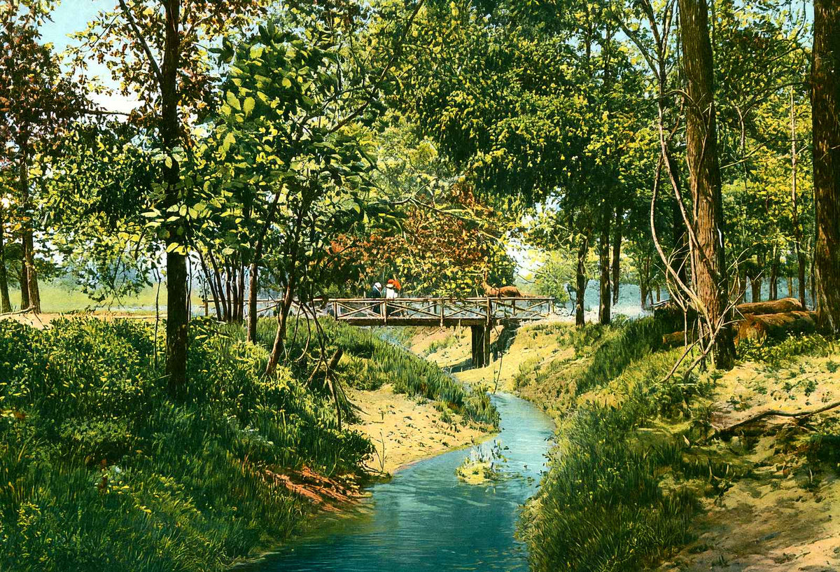 Overton Park, Memphis, TN in 1905 vintage print