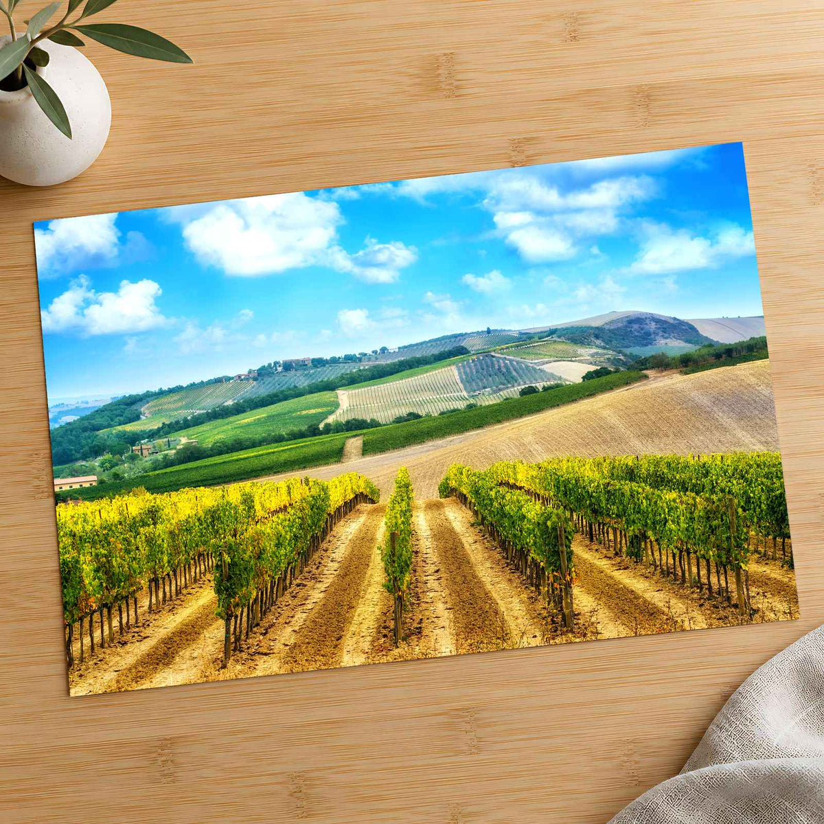 Vineyard in Tuscany, Italy Photo Print Wall Decor