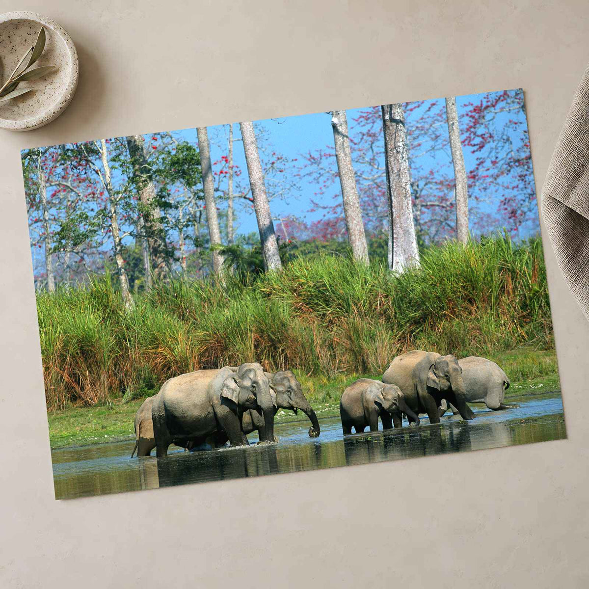 Herd of Elephants in India Photo Print Wall Decor