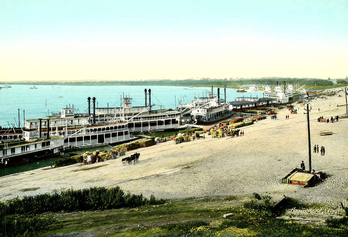 Memphis Wharf, Memphis, TN in 1905 vintage print