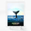 HUMPBACK WHALE TAIL South Africa Photo Card Holo Creatures 2023 GleeBeeCo #HMST