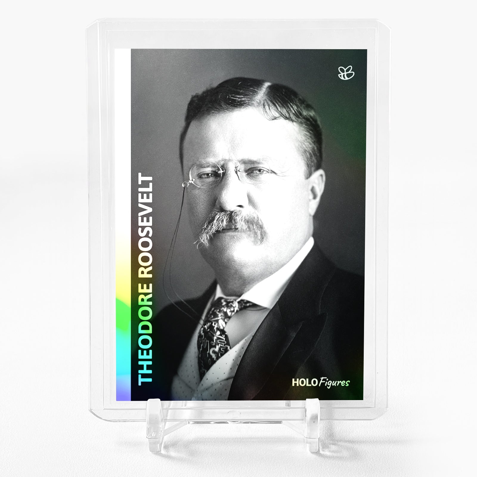 THEODORE ROOSEVELT Photo Card #TR11