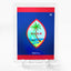 FLAG OF GUAM United States Flags Card 2023 GleeBeeCo Holographic #87B1
