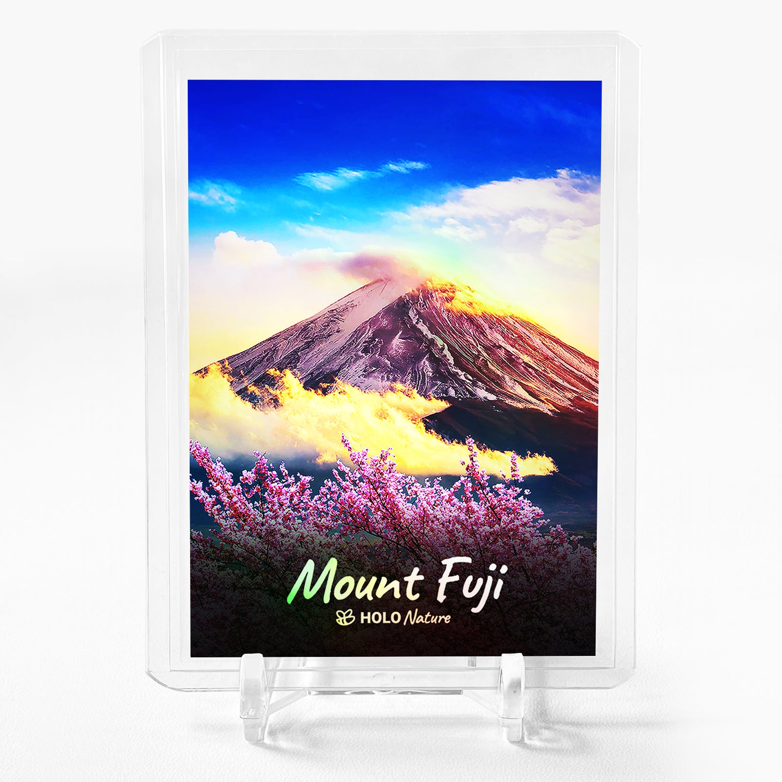 MOUNT FUJI Cherry Blossoms Japan Photo Card 2023 GleeBeeCo Holo Nature #MNCH