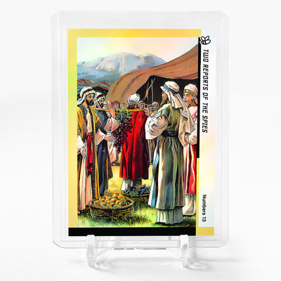 TWO REPORTS OF THE SPIES Holographic Card 2024 GleeBeeCo Holo Faith #TWNM - Wow!