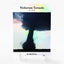 EF3 TORNADO Card 2024 GleeBeeCo Holo History Nickerson