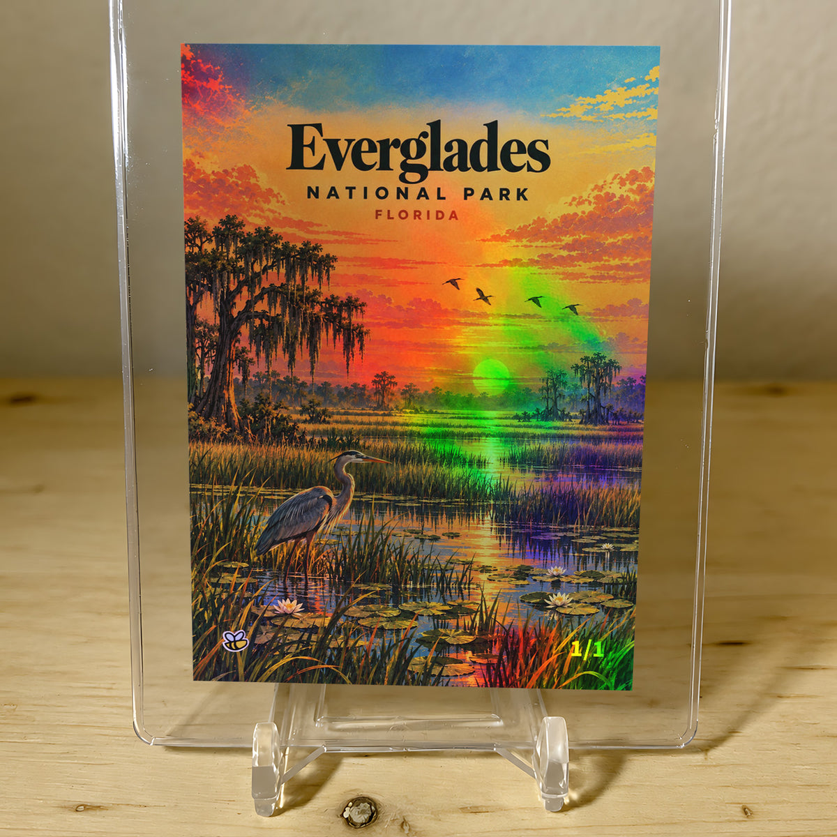 Everglades National Park Card Florida Retro Poster Style 2026 GleeBeeCo Holo 1/1