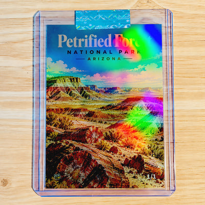 1/1 Petrified Forest National Park Trading Card Arizona 2026 GleeBeeCo Holo