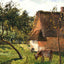 A Field in Varengeville Fine Art Print 1899 by Camille Pissarro (6 Sizes)