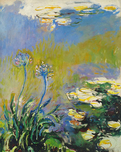 Agapanthus fine art print by Claude Monet (1914)