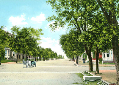 North Washington Street Alexandria VA in 1907 Vintage Print (7 Sizes)