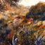 Algerian Landscape (the Ravine of the Wild Women) 1881 Fine Art Print (6 Sizes)
