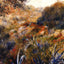 Algerian Landscape (the Ravine of the Wild Women) 1881 Fine Art Print (6 Sizes)