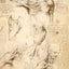 Anatomical Studies of a Male Shoulder 1509 by da Vinci Art Print (6 Sizes)