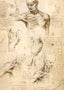 Anatomical Studies of a Male Shoulder 1509 by da Vinci Art Print (6 Sizes)