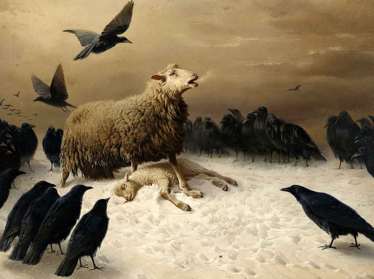 Anguish Art Print by August Friedrich Schenk (6 Sizes) - Sheep