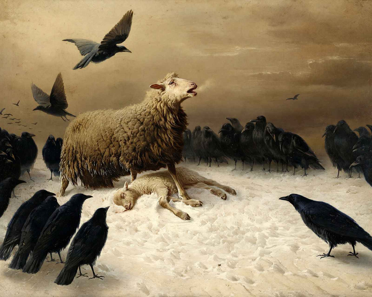 Anguish fine art print