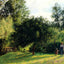 Apple Trees, Sunset, Eragny Art Print 1896 by Camille Pissarro (6 Sizes)