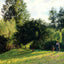 Apple Trees
