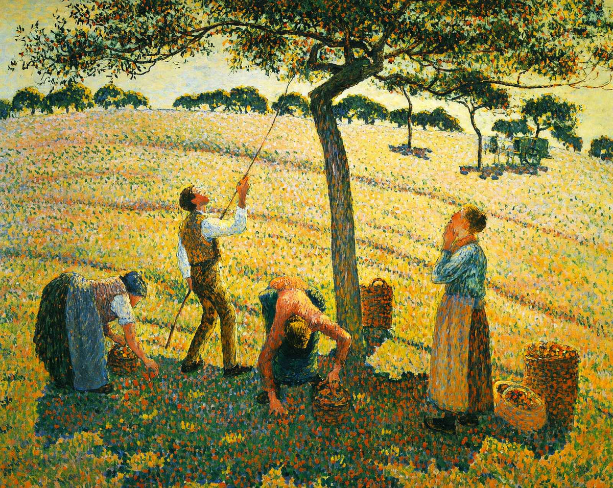Apple Picking at Eragny-Sur-Epte art print by Camille Pissarro (1888)