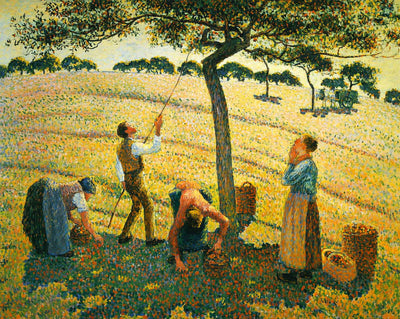 Apple Picking at Eragny-Sur-Epte art print by Camille Pissarro (1888)