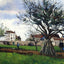 Apple Trees at Pontoise Fine Art Print 1868 by Camille Pissarro (6 Sizes)