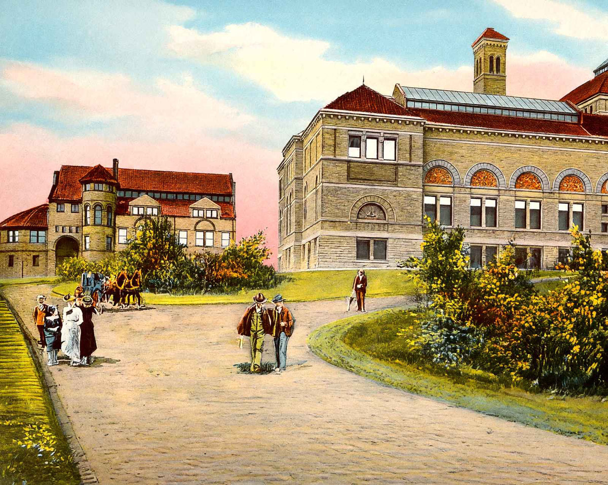 Art Museum and Art School