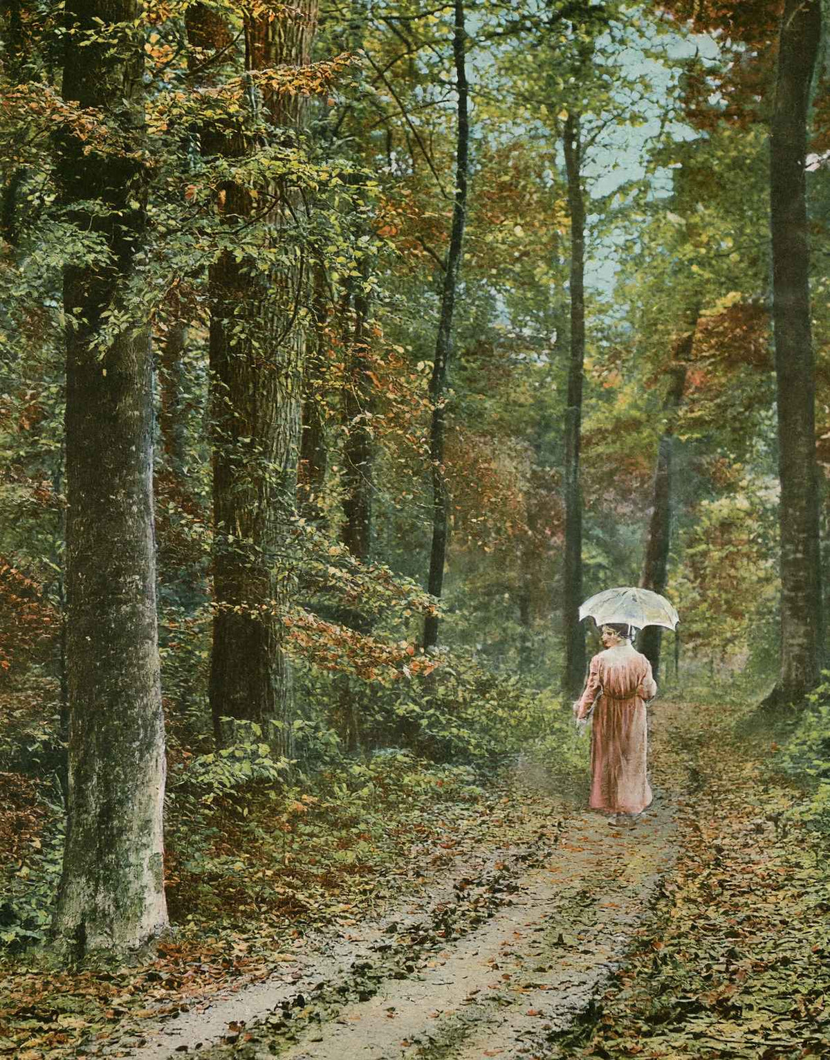 Autumn in Jacob Park Louisville in 1904 Vintage Print (7 Sizes) - Retouched