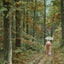 Autumn in Jacob Park Louisville in 1904 Vintage Print (7 Sizes) - Retouched