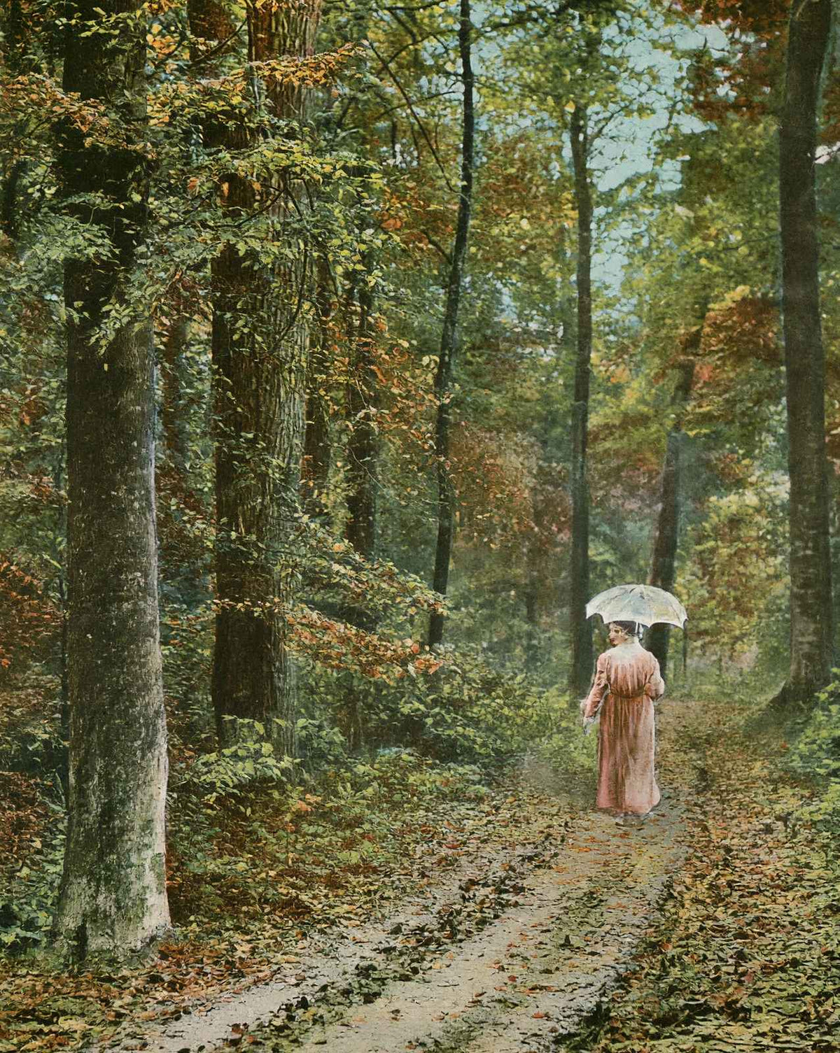 Autumn in Jacob Park
