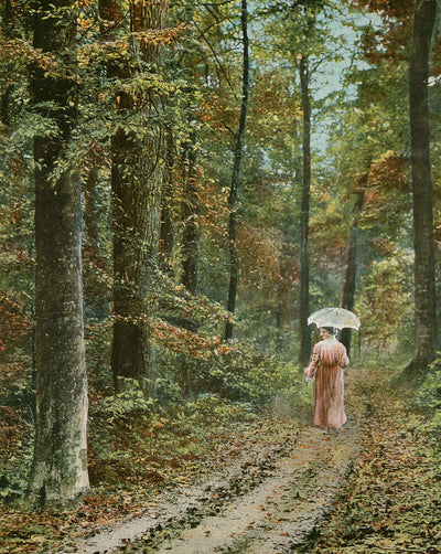 Autumn in Jacob Park