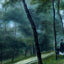 A Walk in the Woods (Madame Lecoeur and Her Children) 1870 Art Print (6 Sizes)