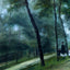 A Walk in the Woods (Madame Lecoeur and Her Children) art print by Pierre-Auguste Renoir (1870)