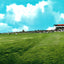 Baseball Park Alexandria LA in 1910 Vintage Print (7 Sizes) - Retouched