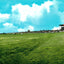 Baseball Park Alexandria LA in 1910 Vintage Print (7 Sizes) - Retouched