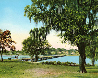 Bayou Texar Near Pensacola in 1904 vintage print