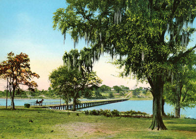 Bayou Texar Near Pensacola in 1904 Vintage Print (7 Sizes) - Premium Quality