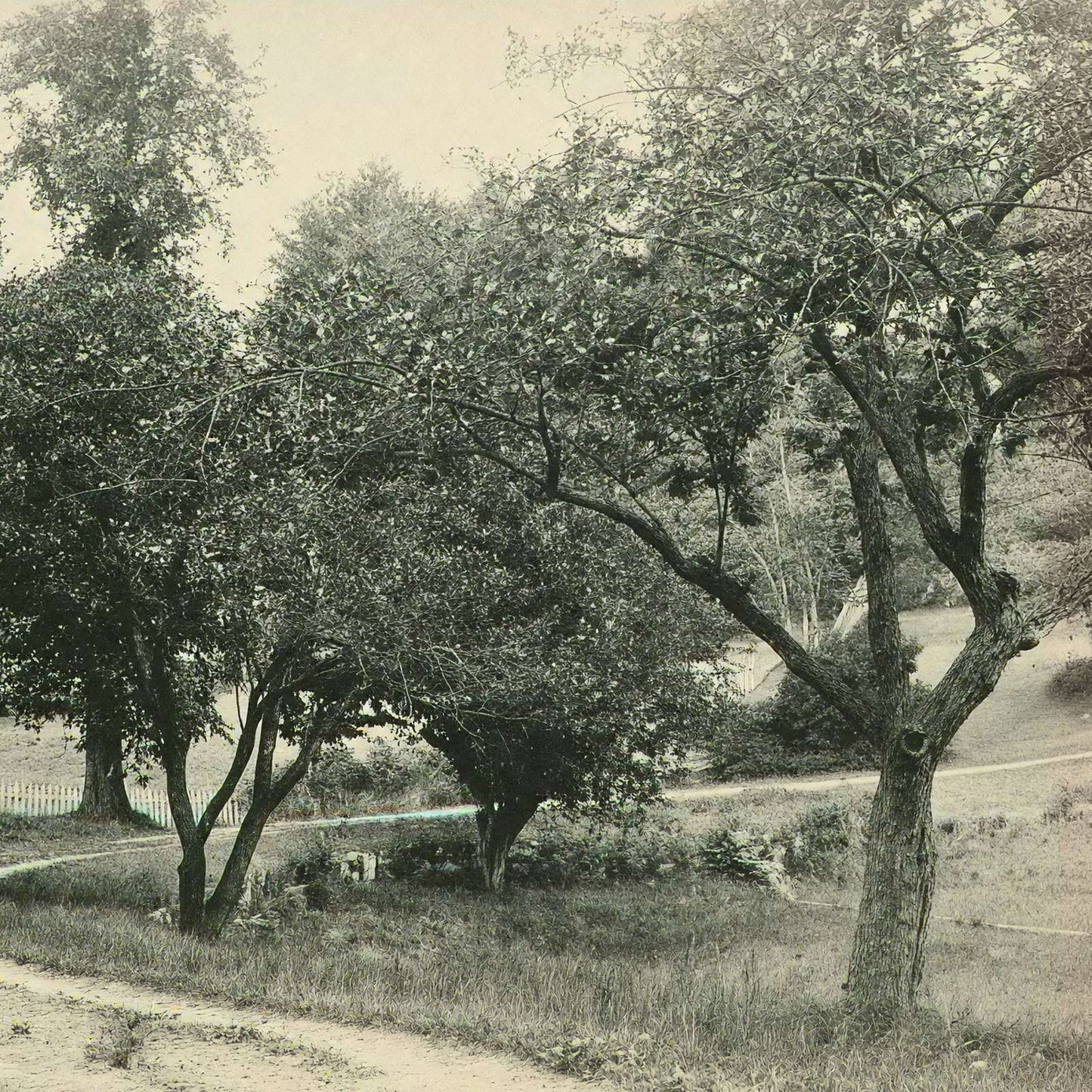 A Beauty Spot Plymouth NH in 1905 Vintage Print (7 Sizes) - Restored