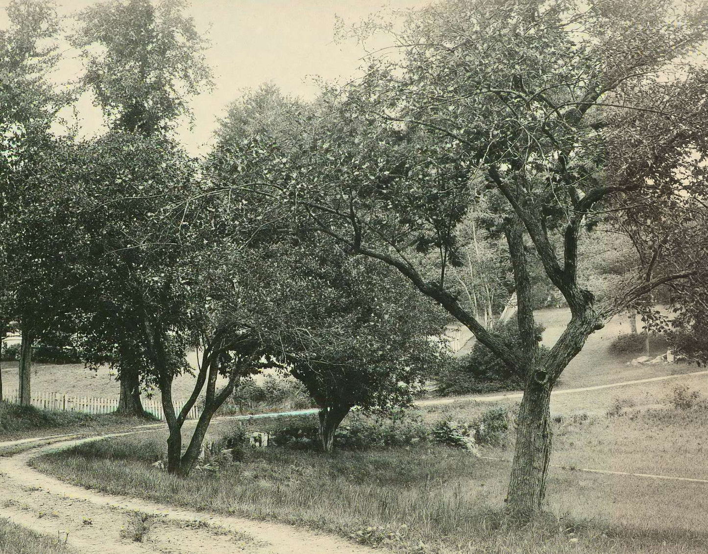 A Beauty Spot Plymouth NH in 1905 Vintage Print (7 Sizes) - Restored