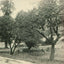 A Beauty Spot Plymouth NH in 1905 Vintage Print (7 Sizes) - Restored